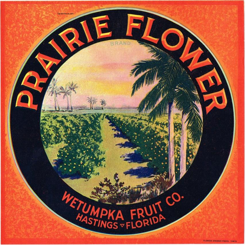 Prairie Flower Fruit Crate Label Wetumpka Hastings Florida