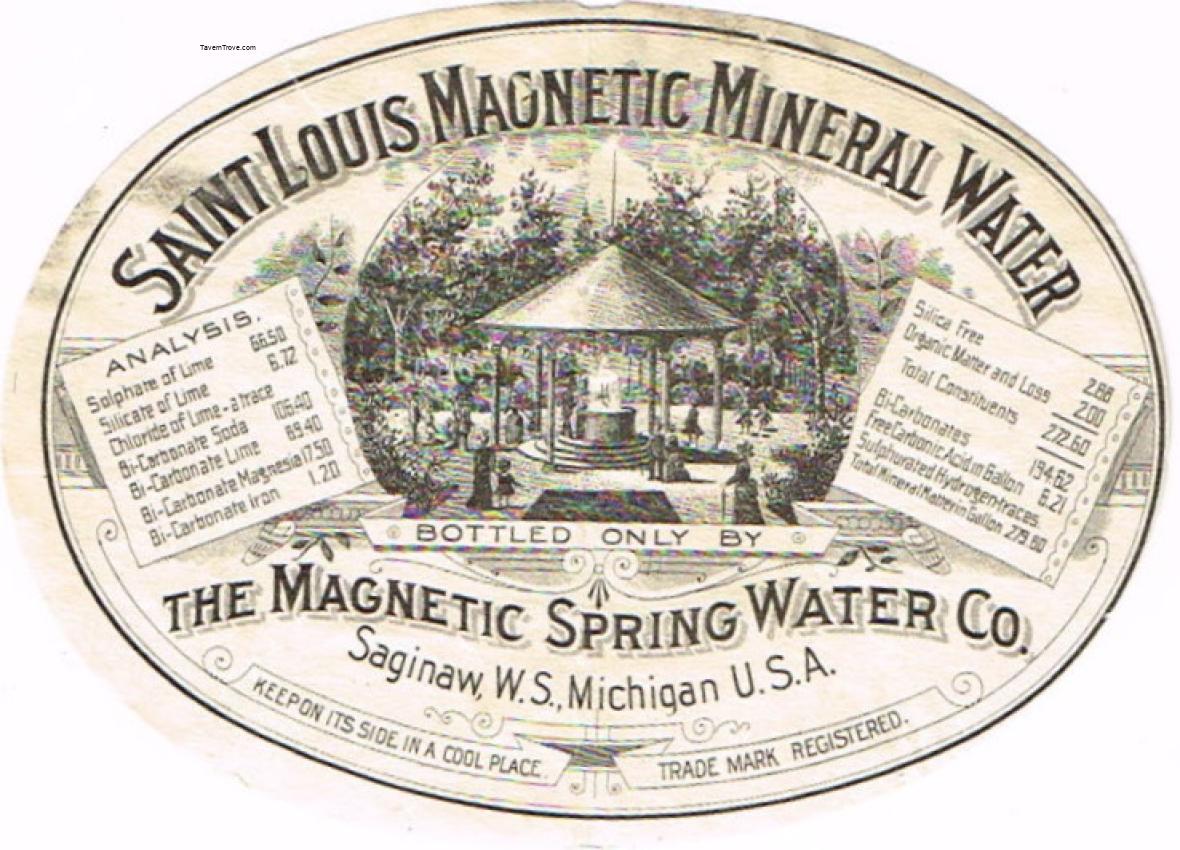 Saint Louis Magnetic Mineral Water Saginaw Michigan