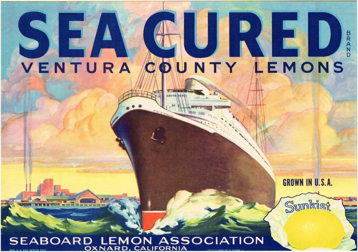 Sea Cured Sunkist Ship Fruit Crate Label Oxnard California
