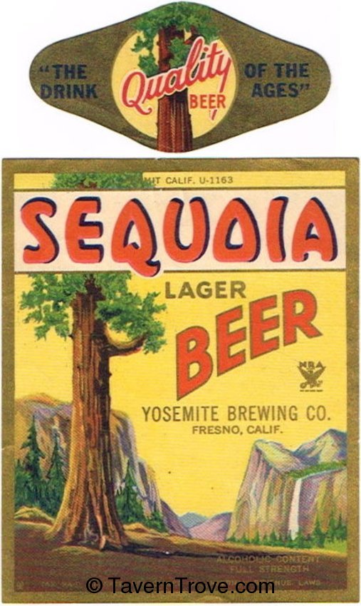 Sequoia Lager Beer