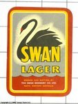 Swan Lager