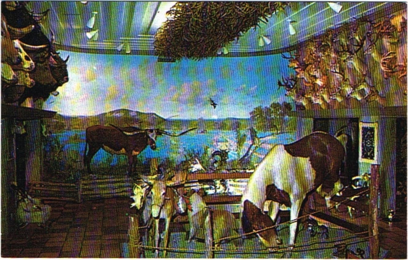 Lone Star Brewery Texas Room with 