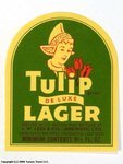 Tulip Lager
