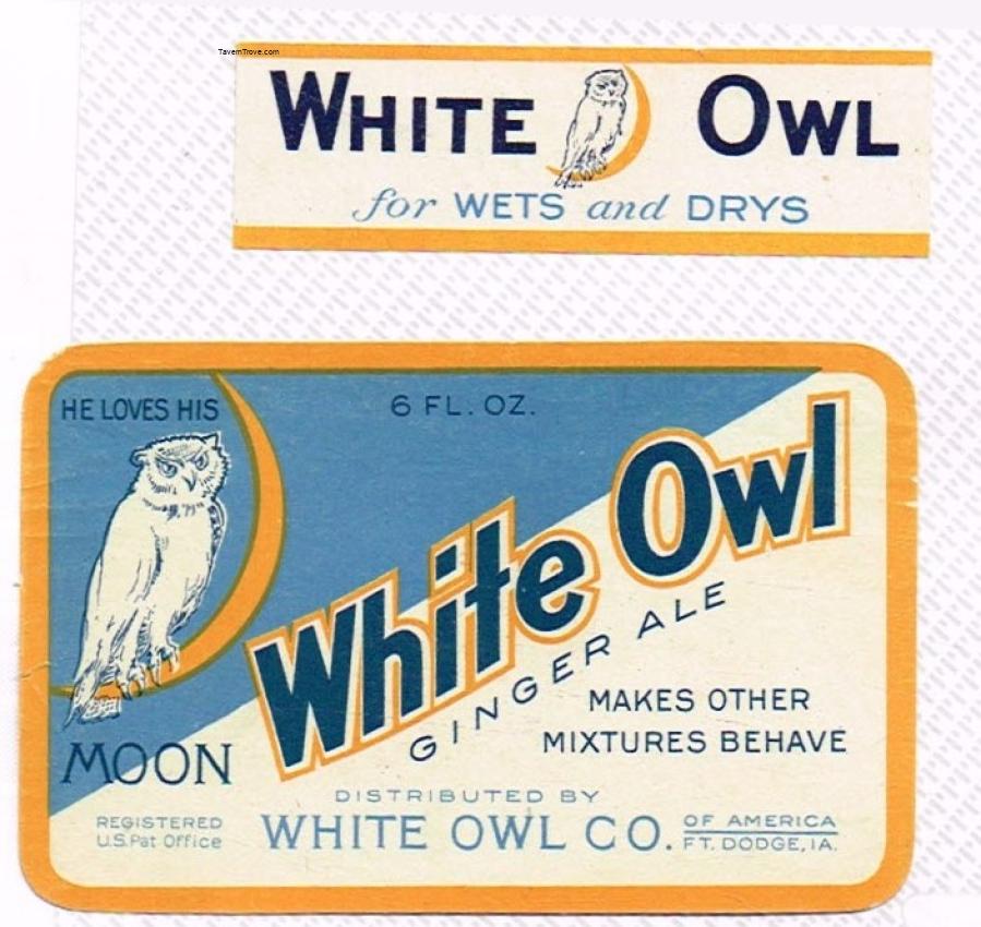 White Owl Ginger Ale Ft Fort Dodge Iowa 6oz