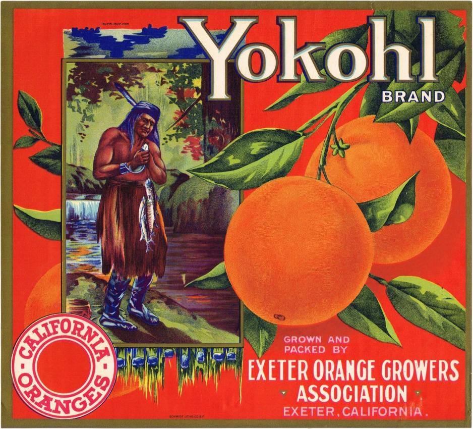 Yokohl Oranges Fruit Crate Label Exeter California
