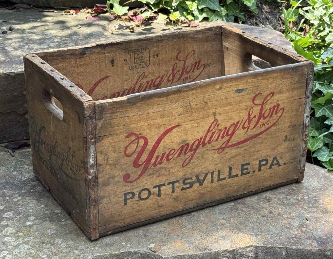 Yuengling's Beer 24 Bottle