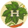 Hemrich Bros. Brewing Co., (Alvin and Louis)