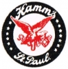 Buckhorn Brewing Company (Aka of Theo. Hamm Brewing Corp.)
