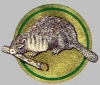 F.& M. Schaefer Brewing Company